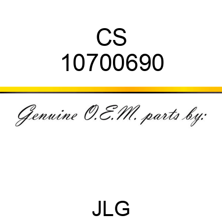 CS 10700690