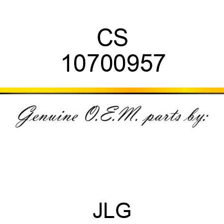 CS 10700957