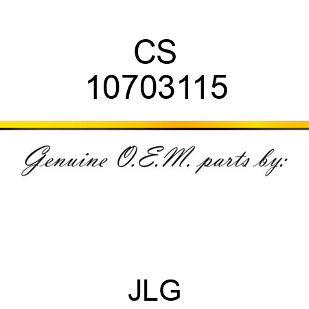 CS 10703115