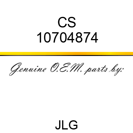 CS 10704874