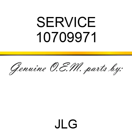 SERVICE 10709971