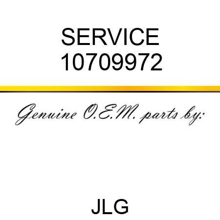 SERVICE 10709972