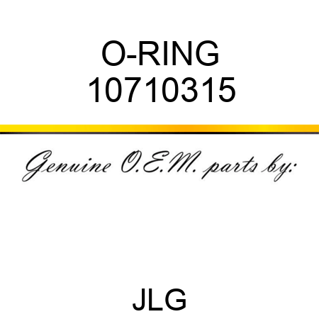 O-RING 10710315