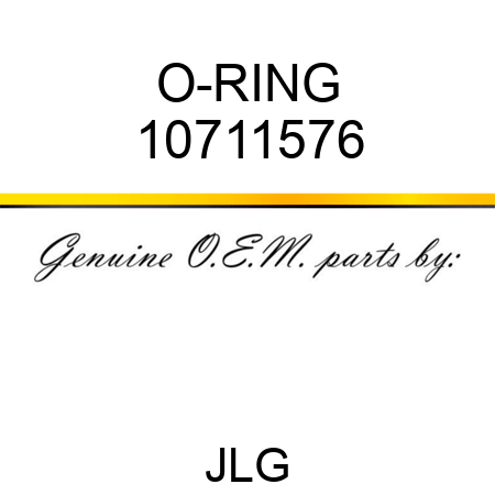 O-RING 10711576