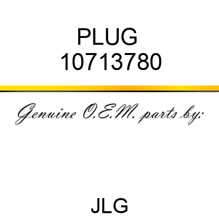 PLUG  10713780