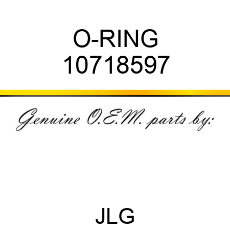 O-RING 10718597