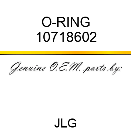 O-RING 10718602