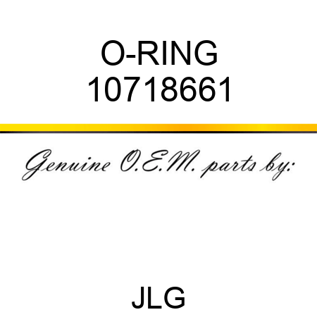 O-RING 10718661