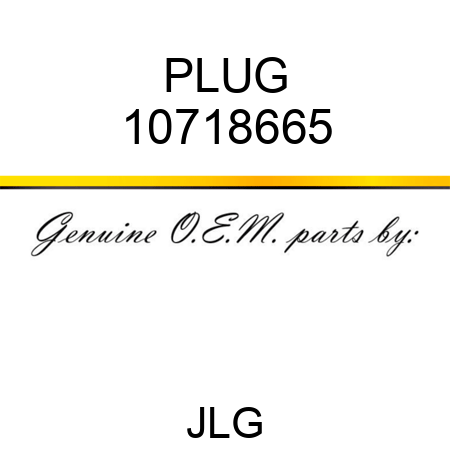 PLUG 10718665