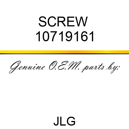 SCREW  10719161