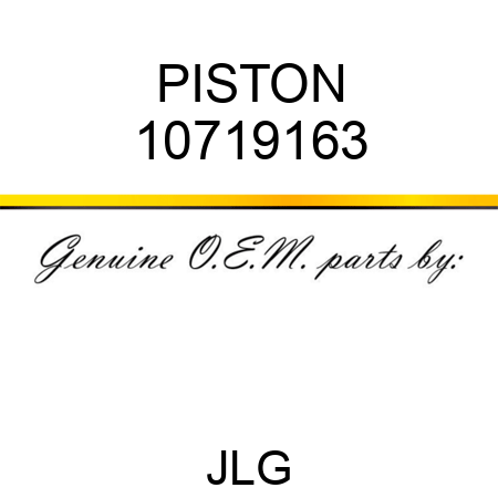 PISTON 10719163