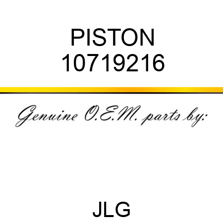 PISTON 10719216