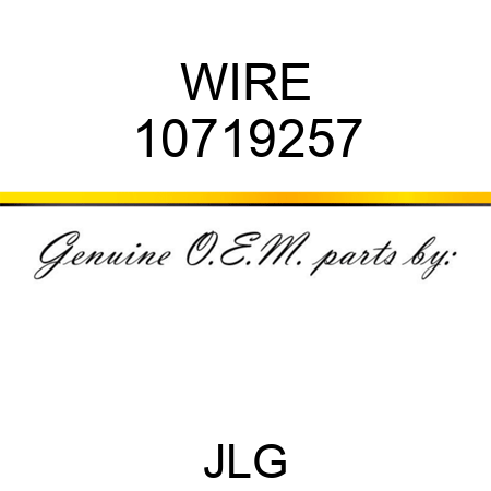 WIRE 10719257