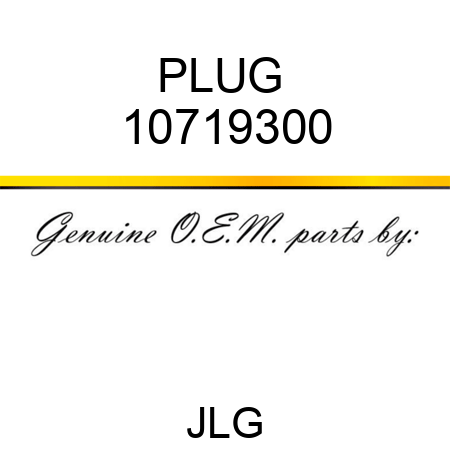 PLUG  10719300
