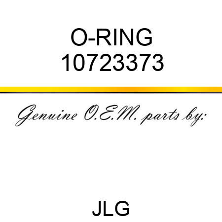O-RING 10723373
