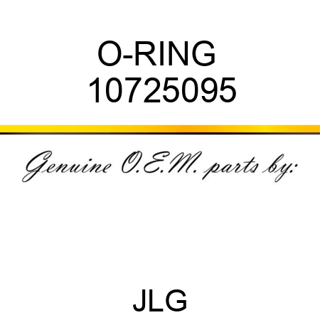 O-RING  10725095