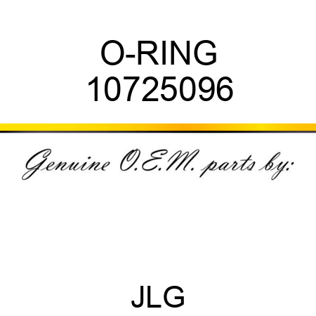 O-RING 10725096