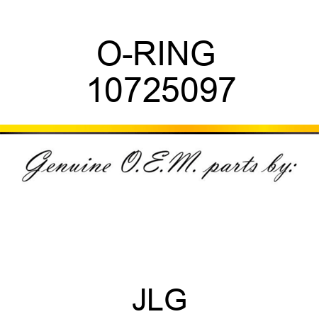 O-RING  10725097
