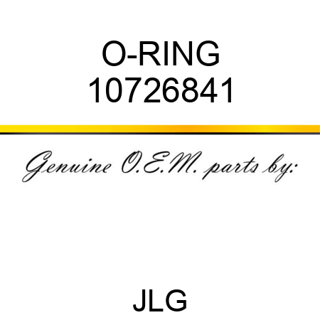 O-RING 10726841