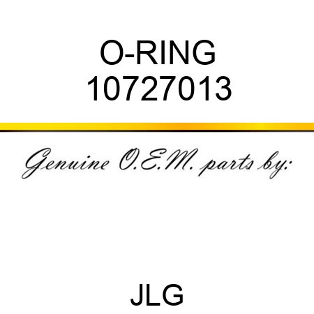 O-RING 10727013
