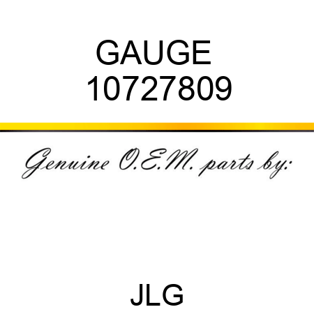 GAUGE  10727809