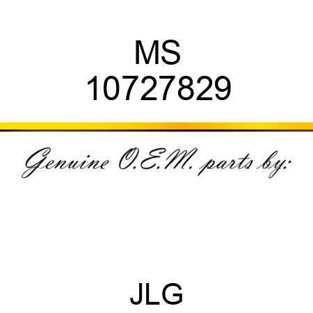 MS 10727829