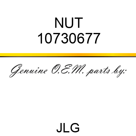 NUT 10730677