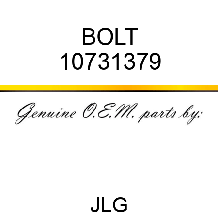 BOLT 10731379