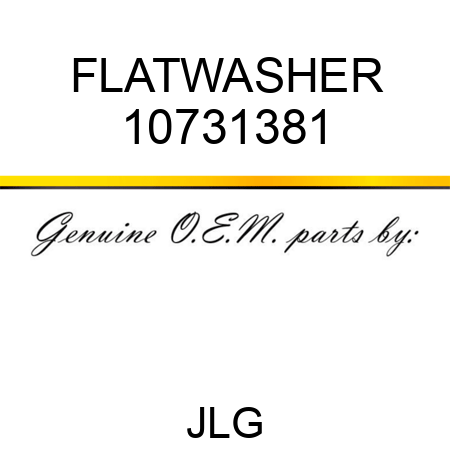 FLATWASHER 10731381