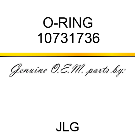 O-RING 10731736