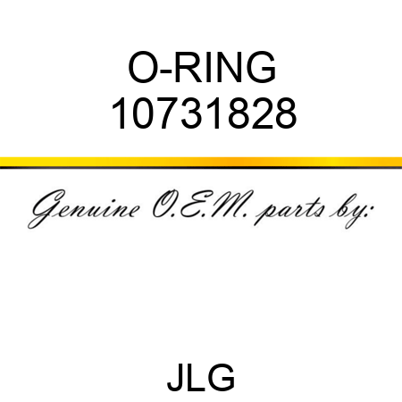 O-RING 10731828