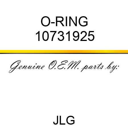 O-RING 10731925