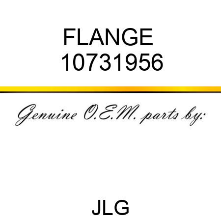 FLANGE  10731956