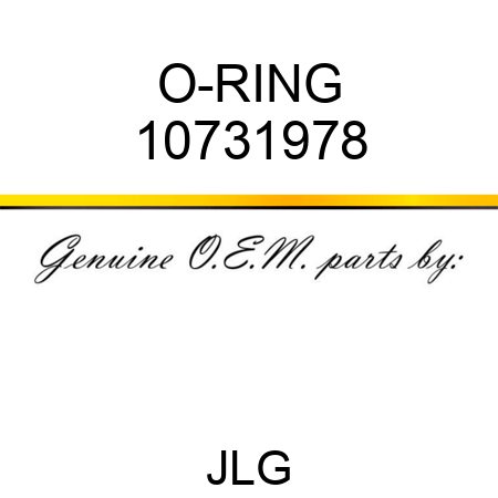 O-RING 10731978