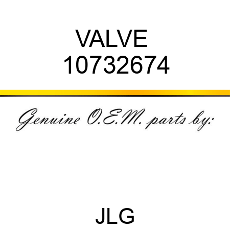 VALVE  10732674