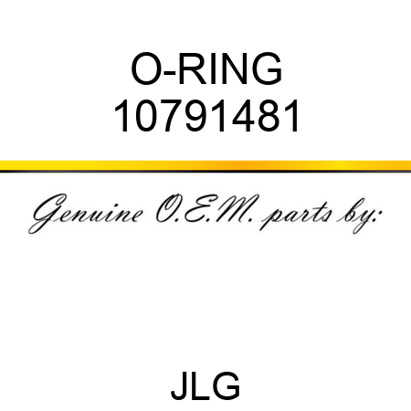 O-RING 10791481