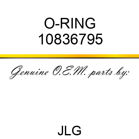 O-RING 10836795