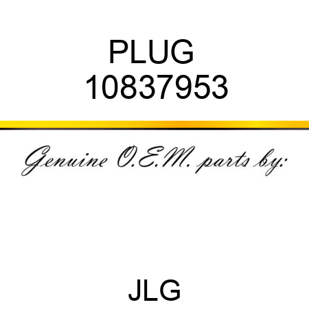 PLUG  10837953