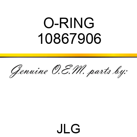 O-RING 10867906