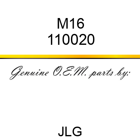 M16 110020