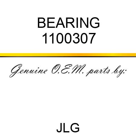 BEARING 1100307