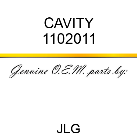 CAVITY 1102011