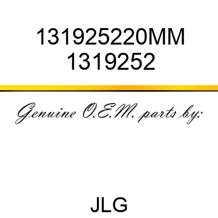 131925220MM 1319252