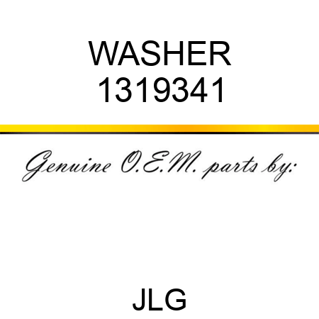 WASHER 1319341