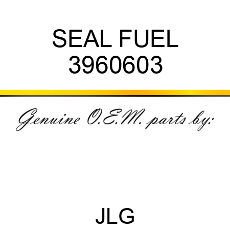 SEAL FUEL 3960603