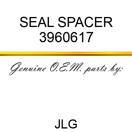 SEAL SPACER 3960617