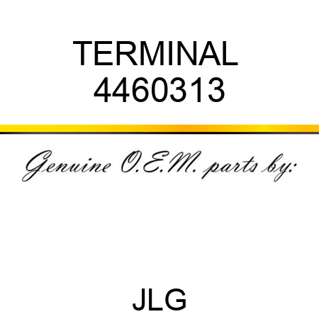 TERMINAL  4460313