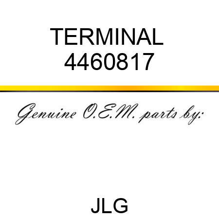 TERMINAL  4460817