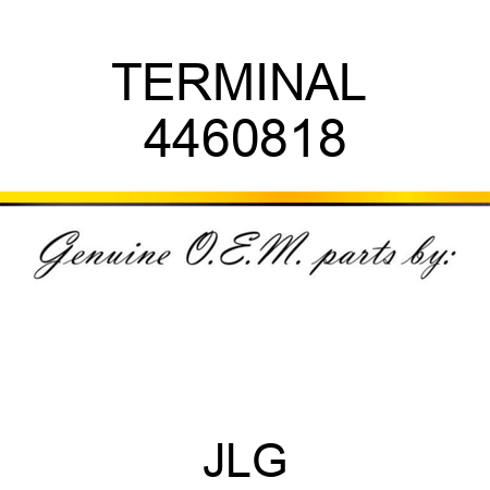 TERMINAL  4460818