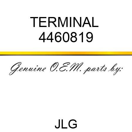 TERMINAL  4460819